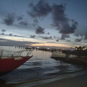 Meet your Posher, Lynn